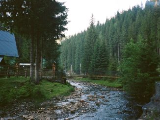Vacanță la munte în 2025 cu buget redus